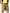WP06 Mens Heavy Cotton Pre-shrunk Cargo Shorts