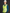 SW43 Safety Vest With Shoulder Tapes